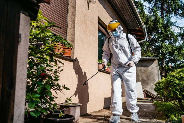 Best Best Pest Control Companies  in Colquitt, GA
