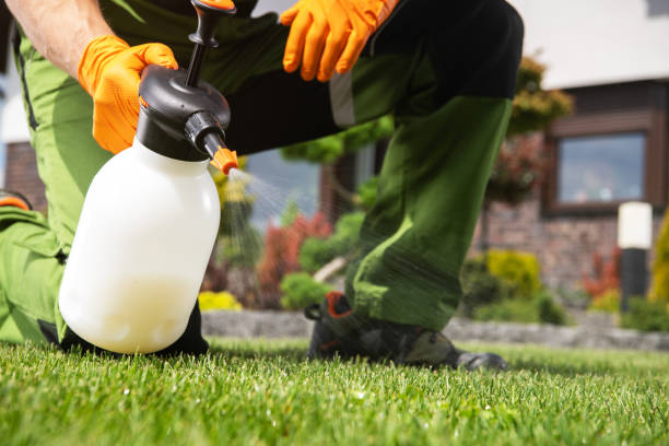 Best Mosquito Control Services  in Colquitt, GA