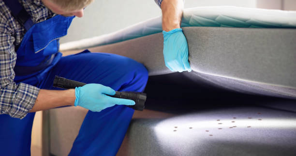Best Emergency Pest Control  in Colquitt, GA