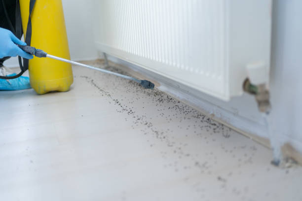 Best Wildlife Control Services  in Colquitt, GA