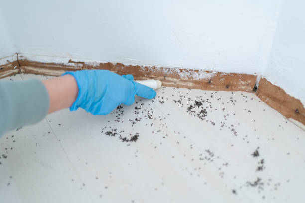 Wildlife Control Services in Colquitt, GA